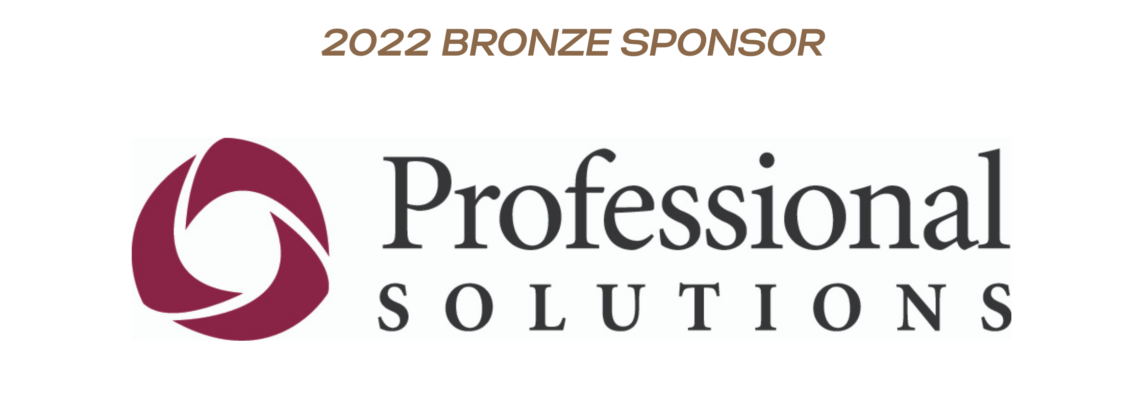 2022 Bronze Sponsor - Professional Solutions 